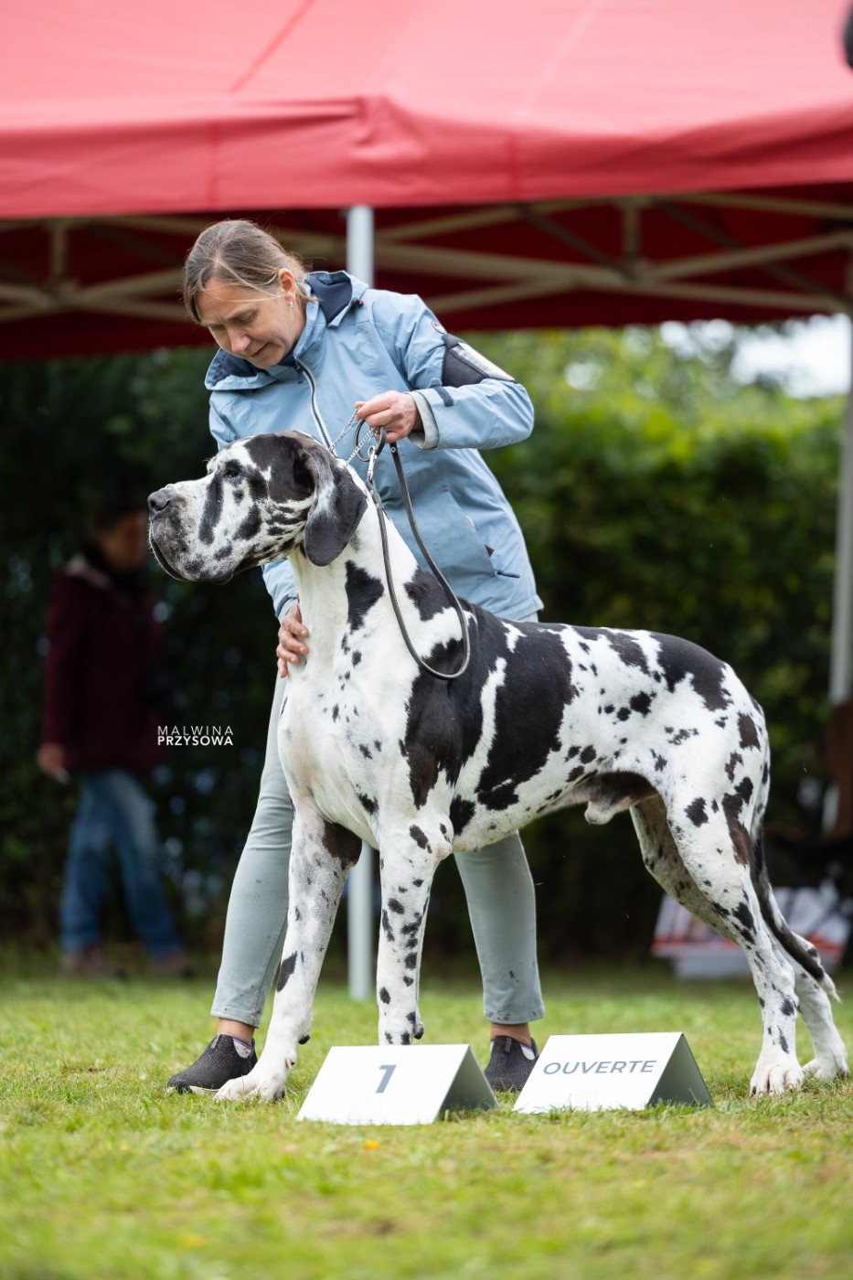 Uderzo du domaine du rupt de mad